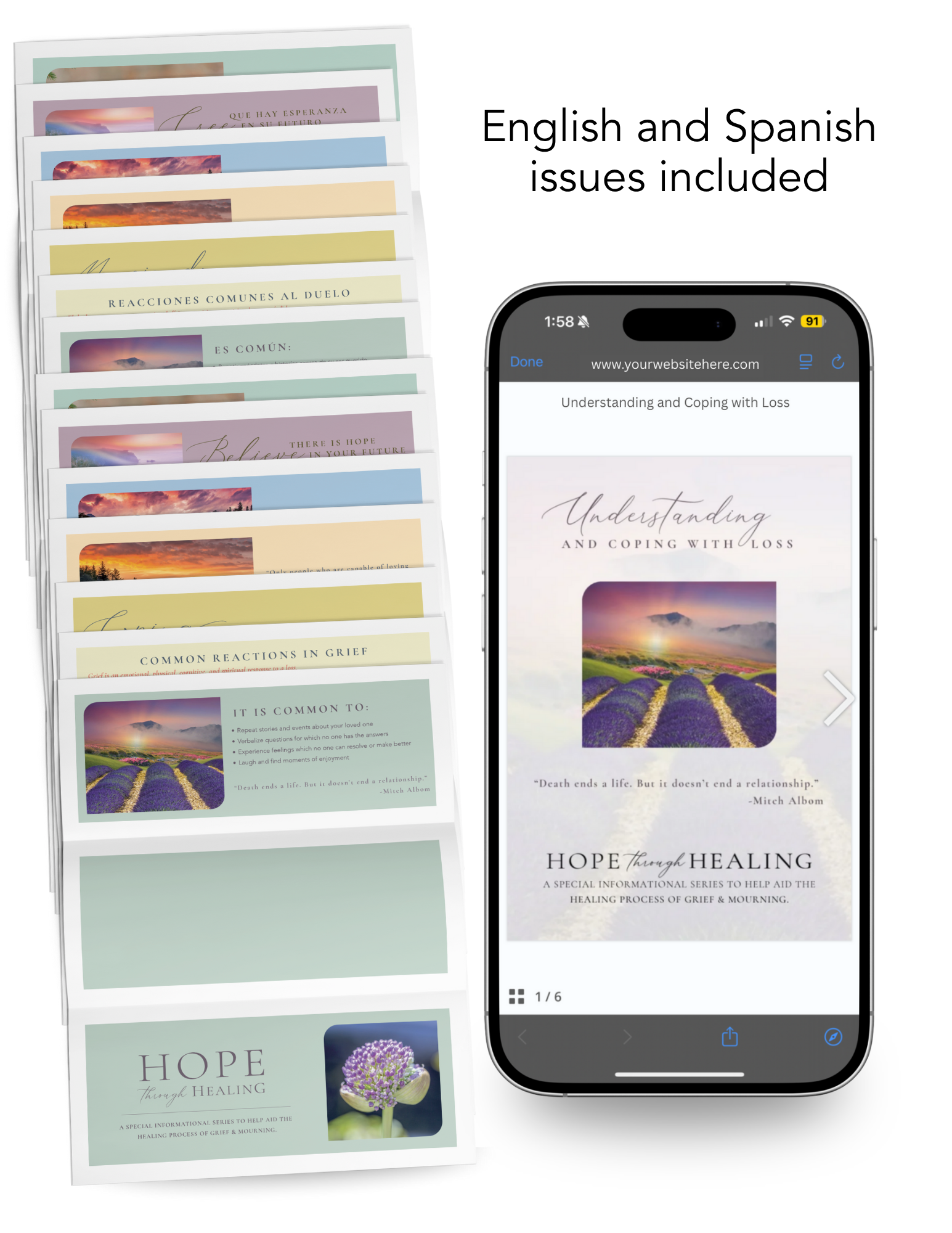 1-GEMS Website Cover Image